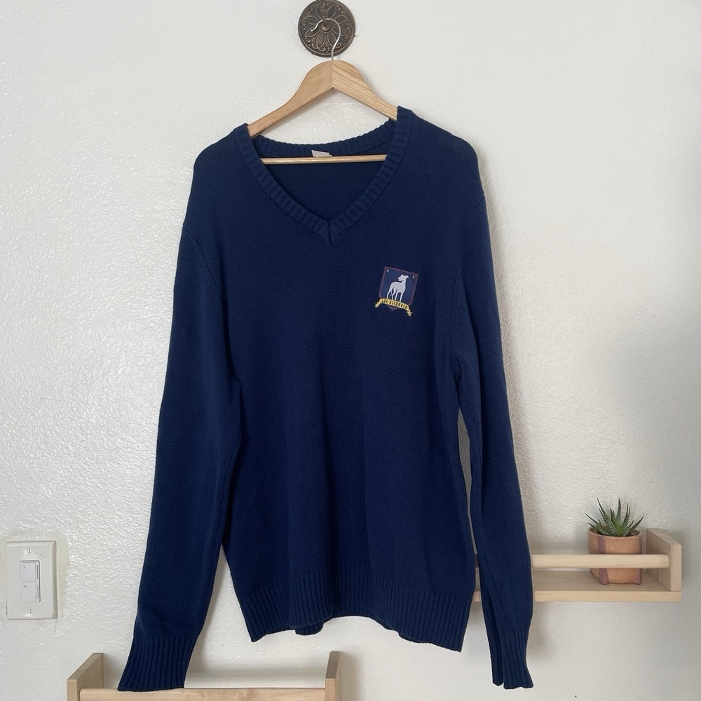 Ted Lasso Sweater Men's Extra Large Blue V-Neck‎